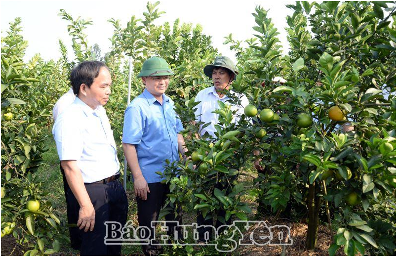Đồng chí Bí thư Tỉnh ủy Đỗ Tiến Sỹ kiểm tra sản xuất, thăm mô hình xây dựng nông thôn mới tại các huyện Kim Động, Tiên Lữ