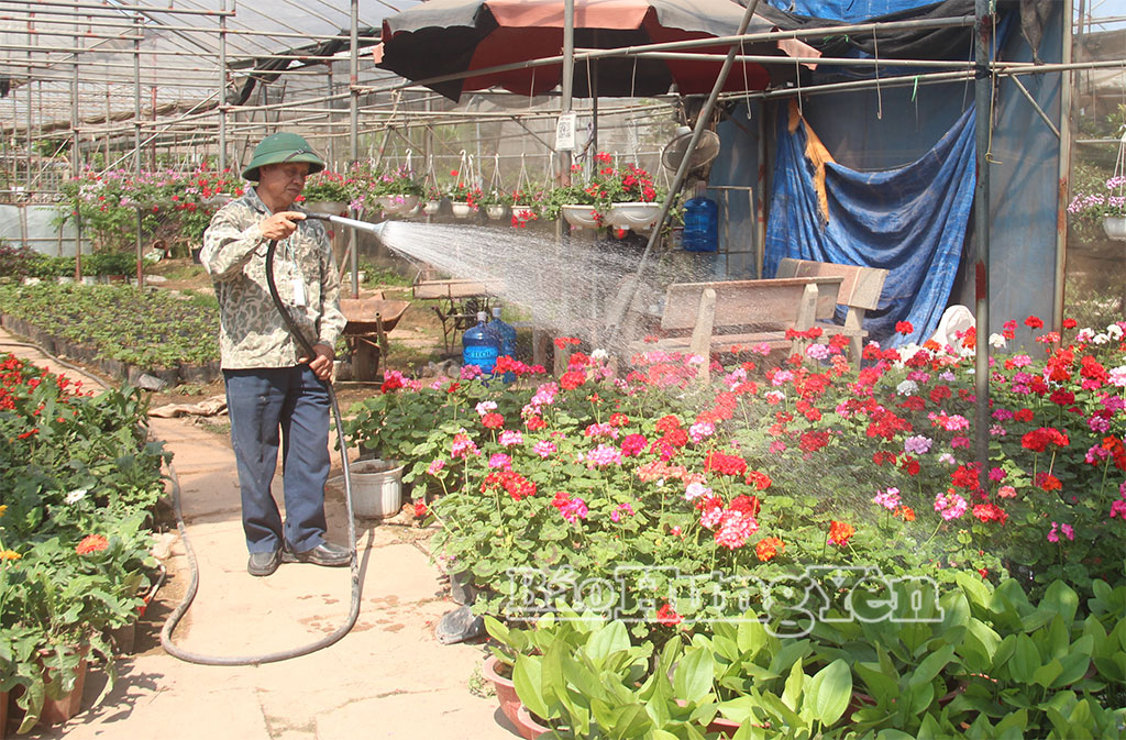 Nhân rộng các mô hình sản xuất xanh