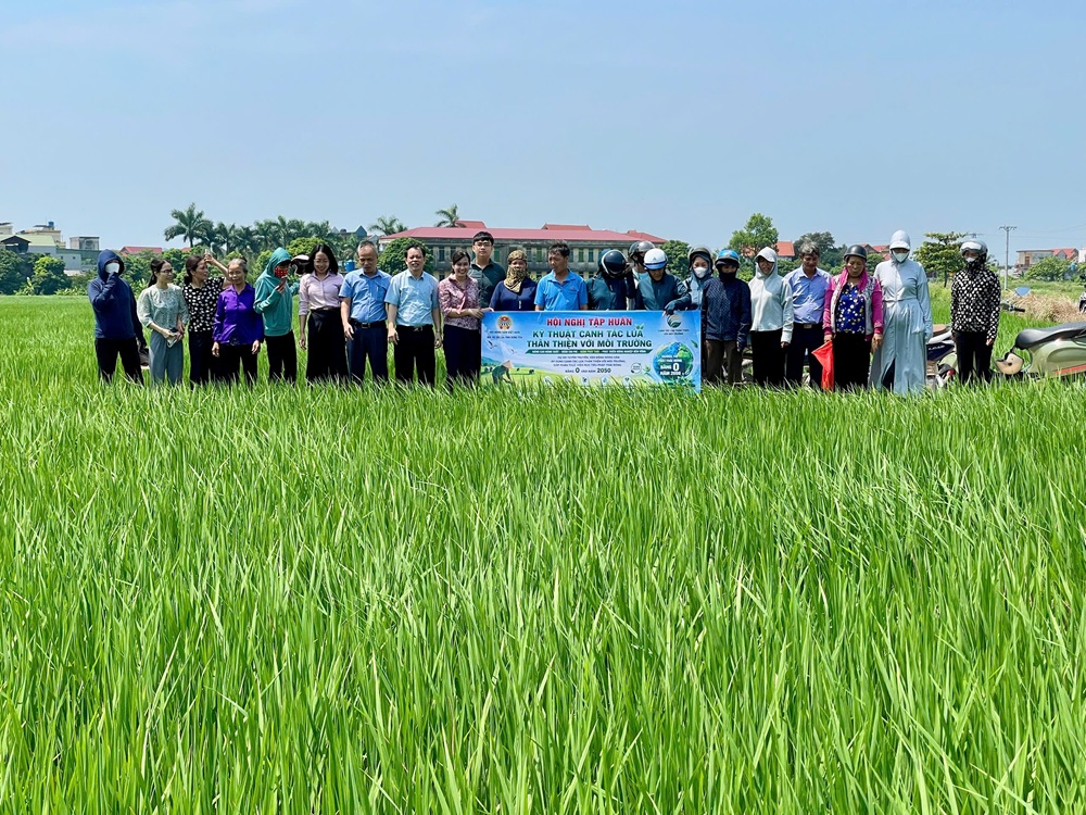 BAN QUẢN LÝ DỰ ÁN LÚA TỈNH HƯNG YÊN: TỔ CHỨC TẬP HUẤN KỸ THUẬT CANH TÁC LÚA THÂN THIỆN VỚI MÔI TRƯỜNG CHO HỘI VIÊN NÔNG DÂN CÁC XÃ THỰC HIỆN DỰ ÁN