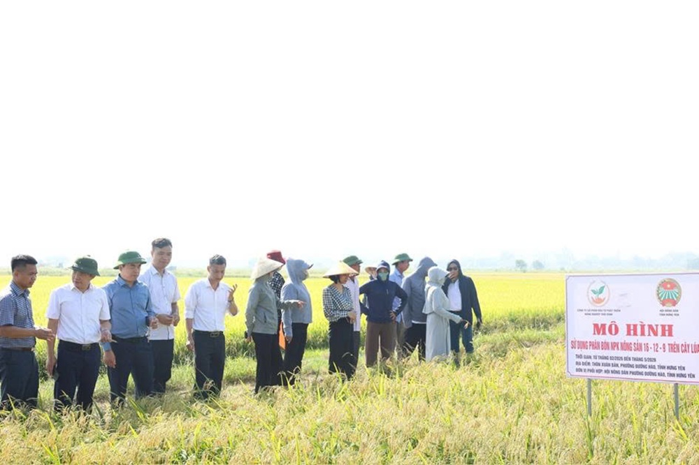 Hội Nông dân Phường Đường Hào: Tổ chức Hội nghị ra mắt Câu lạc bộ “Nông dân bảo vệ môi trường” và đánh giá kết quả mô hình canh tác lúa an toàn, hiệu quả năm 2026