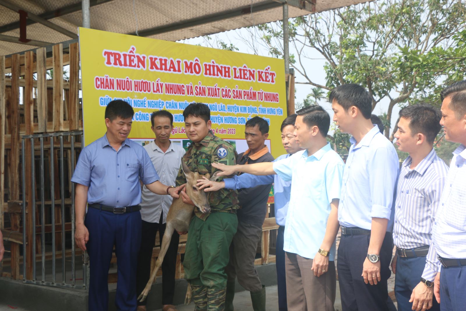 Triển vọng từ mô hình nuôi hươu lấy “thần dược” 