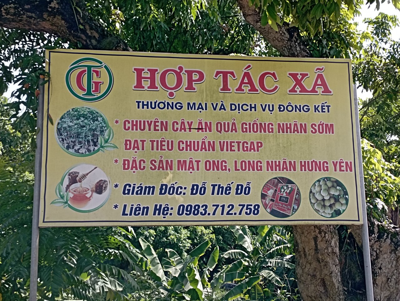 Hợp tác xã thương mại và dịch vụ Đông Kết phát huy tốt vai trò, tạo việc làm cho lao động địa phương