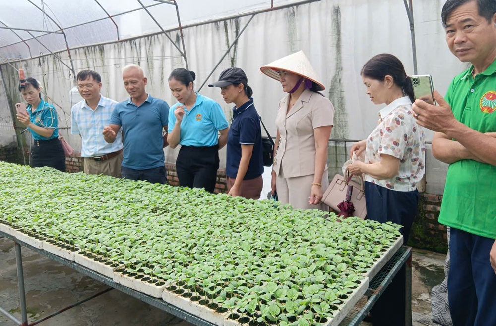 TẬP HUẤN CÔNG TÁC HỘI NÔNG DÂN TẠI CÁC XÃ: LẠC ĐẠO, NHƯ QUỲNH VÀ ĐẠI ĐỒNG.