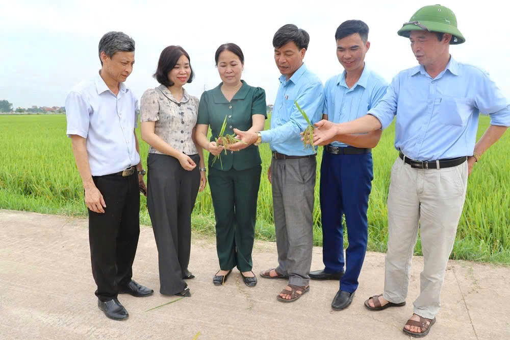 Hội Nông dân tỉnh Hưng Yên tổ chức Hội nghị và trực tiếp thăm mô hình trình diễn sử dụng phân bón Đại Sơn NPK 18.9.8 PLUS vụ xuân năm 2026